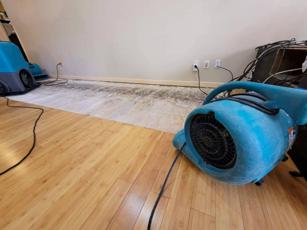 Professional Structural Drying technician working in Oberlin, OH
